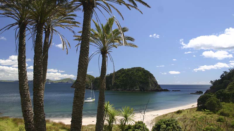 Great snorkelling 